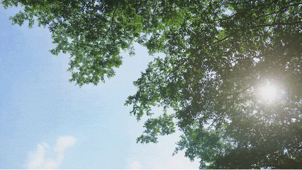 绿城逸庐售楼处电话在售户型最新价格周边配套容积率小区详情PG电子麻将胡了2模拟器绿城逸庐欢迎您2025首页网站(图31)